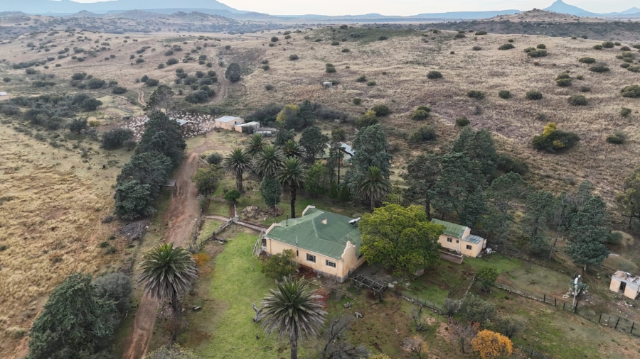 0 Bedroom Property for Sale in Burgersdorp Eastern Cape
